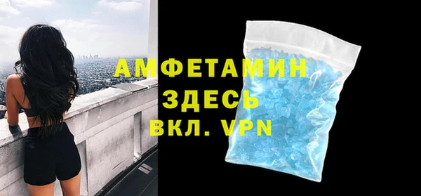 стаф Алзамай