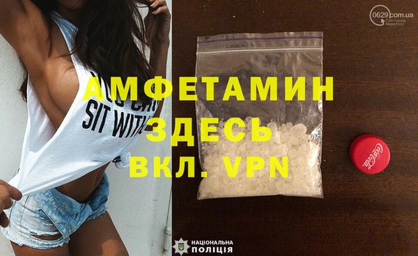 стаф Алзамай
