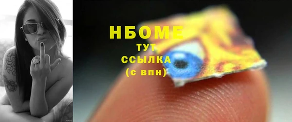 стаф Алзамай