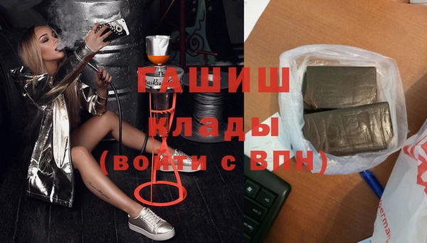 стаф Алзамай