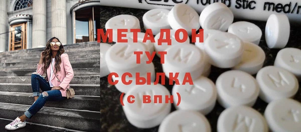 стаф Алзамай